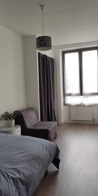 דירות סן-אטיין Logement 5 Personnes Proche Cv Et Parking Prive מראה חיצוני תמונה