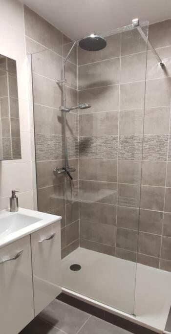 דירות סן-אטיין Logement 5 Personnes Proche Cv Et Parking Prive מראה חיצוני תמונה