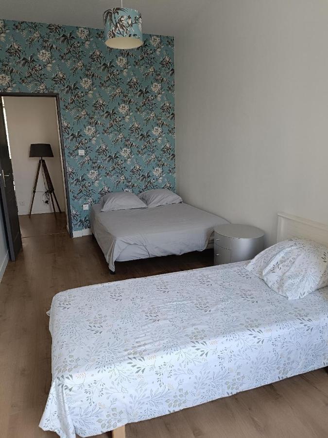דירות סן-אטיין Logement 5 Personnes Proche Cv Et Parking Prive מראה חיצוני תמונה